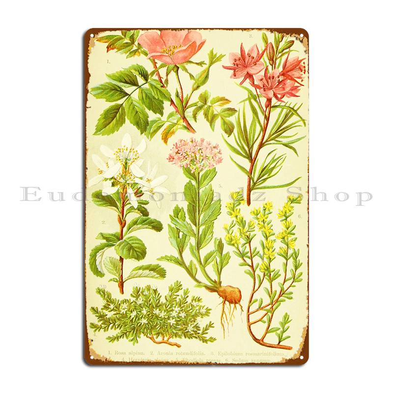 Hd Vintage Flowery Bouquet Des - Home Cinema Wall Design ulasan dan harga