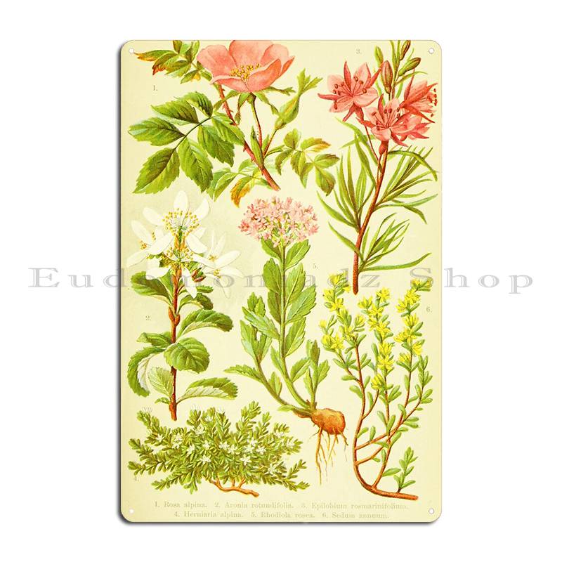 Hd Vintage Flowery Bouquet Des - Home Cinema Wall Design ulasan dan harga